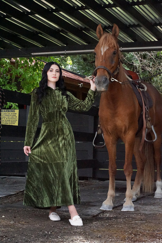 Michal Velvet Dress