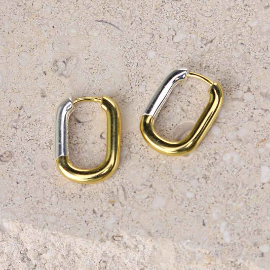 Chanson d'Or Earrings