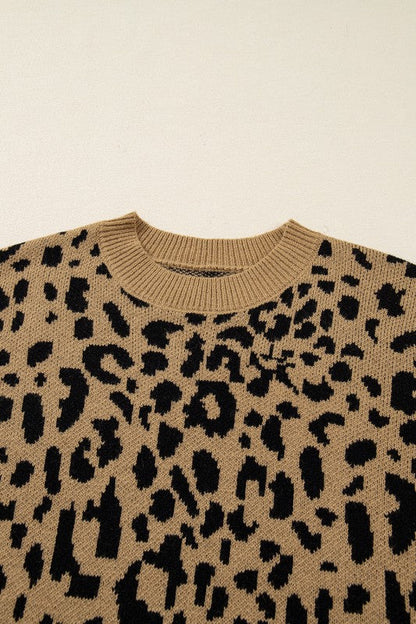 Leopard Ribbed Trim Crewneck Drop Shoulder Sweater