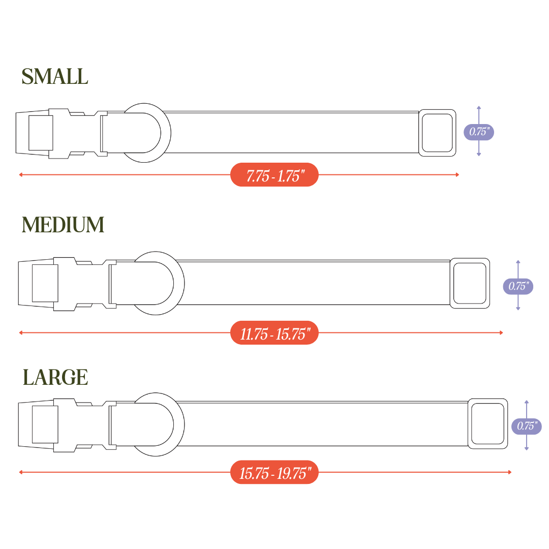 Collier pour chien en PVC - Imperméable, durable et résistant aux odeurs