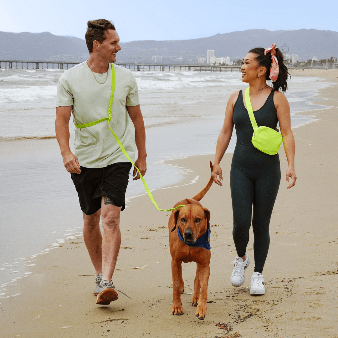 Collier pour chien en PVC - Imperméable, durable et résistant aux odeurs