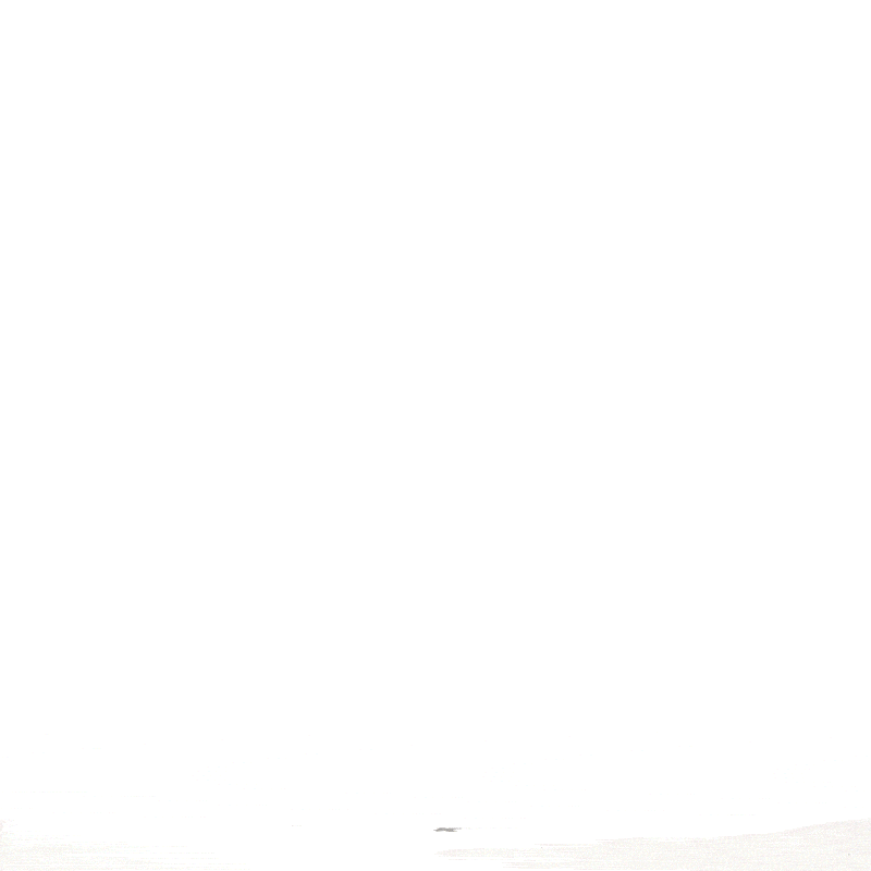 Grace Expandable 25" Medium Checked Retro Suitcase - Lolomo!