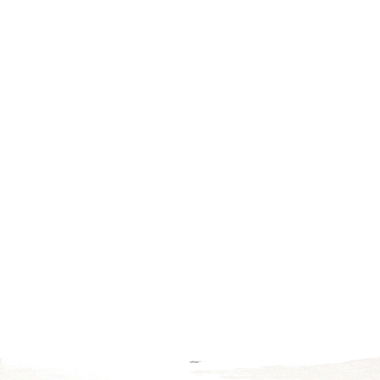 Grace Expandable 25" Medium Checked Retro Suitcase - Lolomo!