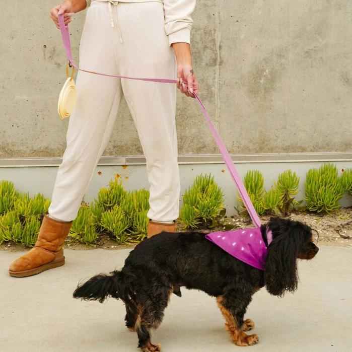 Malibu Sunset Sustainable Hemp Cotton Adjustable Dog Leash – Durable & Soft