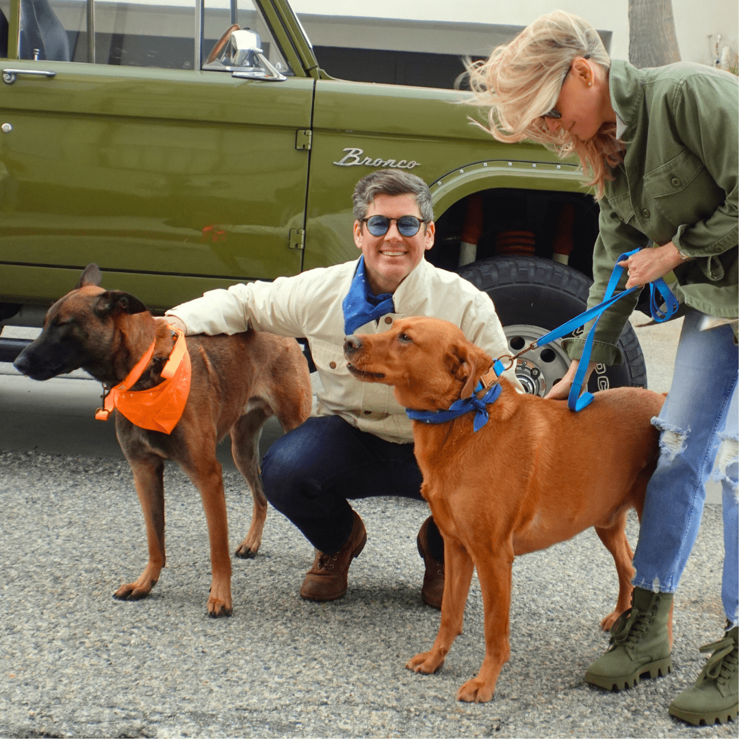 Malibu Sunset Sustainable Hemp Cotton Adjustable Dog Collar– Durable & Soft - Lolomo!