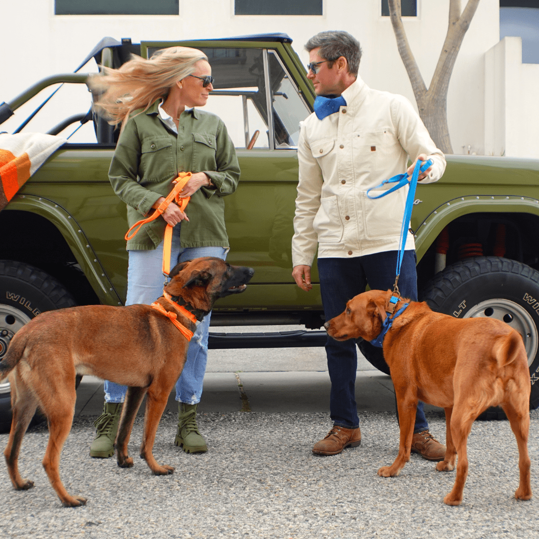 Malibu Sunset Sustainable Hemp Cotton Adjustable Dog Leash – Durable & Soft - Lolomo!