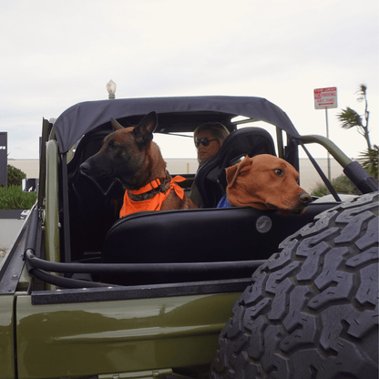 Malibu Sunset Sustainable Hemp Cotton Adjustable Dog Collar– Durable & Soft - Lolomo!