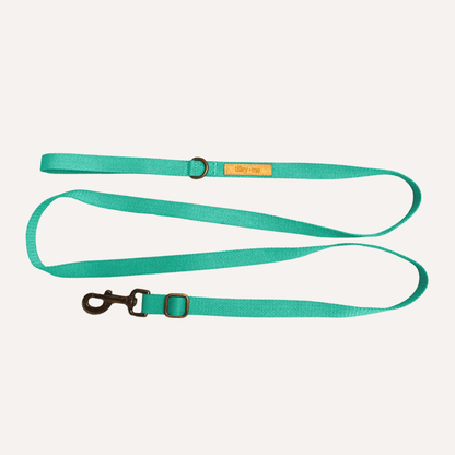 Malibu Sunset Sustainable Hemp Cotton Adjustable Dog Leash – Durable & Soft - Lolomo!