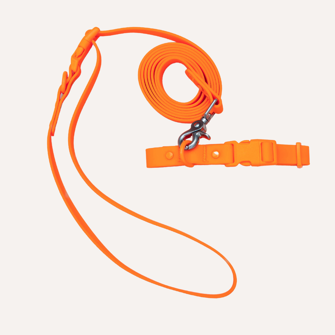 Laisse pour chien en PVC mains libres - Imperméable, durable et résistante aux odeurs