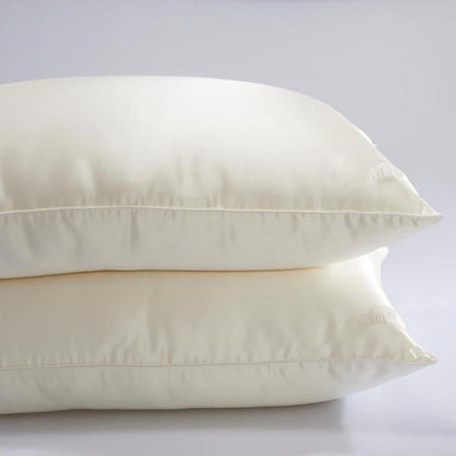 Silk pillow with silk shell