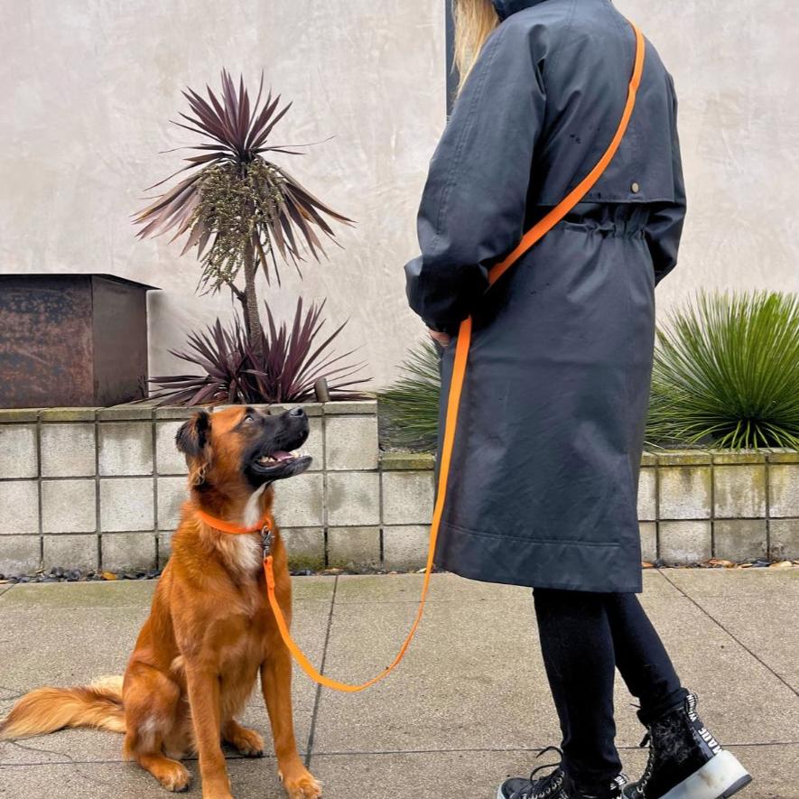 Laisse pour chien en PVC mains libres - Imperméable, durable et résistante aux odeurs