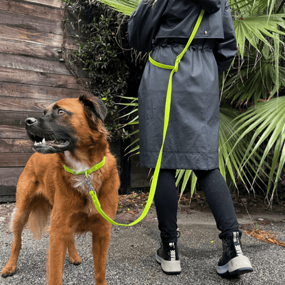 Collier pour chien en PVC - Imperméable, durable et résistant aux odeurs