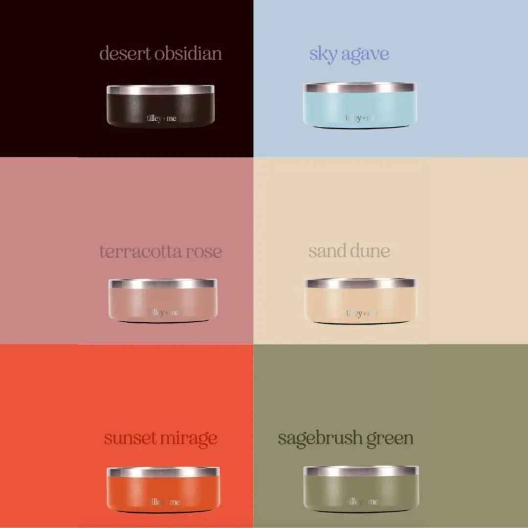 Stainless Steel Pet Bowl – Non-Slip, Durable & Dishwasher Safe | 32oz and 64oz