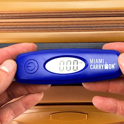 Digital Luggage Scale with Stainless Steel Hook - Lolomo!