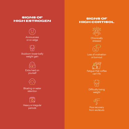 The Balanced Baddie Bundle