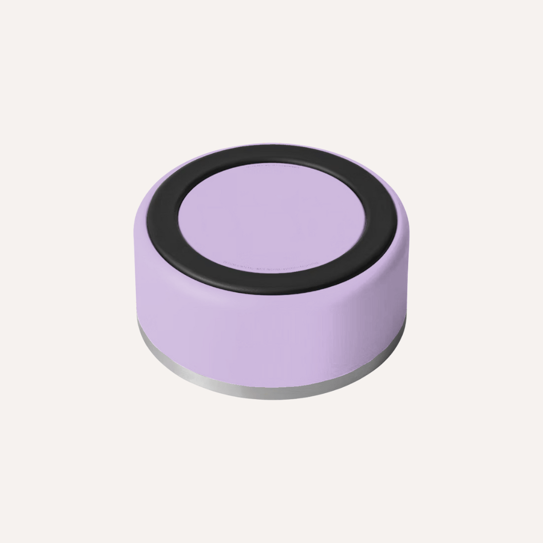 Stainless Steel Pet Bowl – Non-Slip, Durable & Dishwasher Safe | 32oz and 64oz - Lolomo!