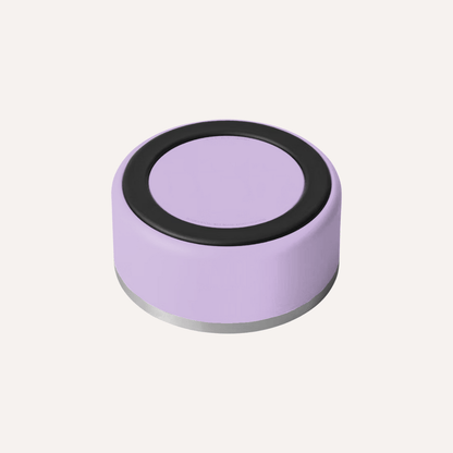 Stainless Steel Pet Bowl – Non-Slip, Durable & Dishwasher Safe | 32oz and 64oz - Lolomo!