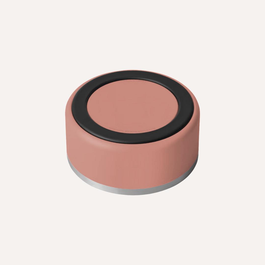 Stainless Steel Pet Bowl – Non-Slip, Durable & Dishwasher Safe | 32oz and 64oz - Lolomo!