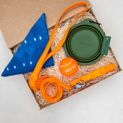 Collier pour chien en PVC - Imperméable, durable et résistant aux odeurs