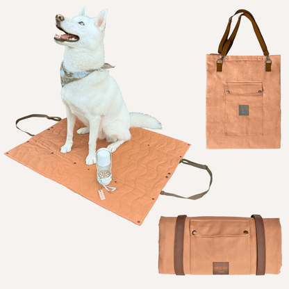 Convertible Dog Bag - Portable Travel Mat Bag for Pet Owners - Lolomo!