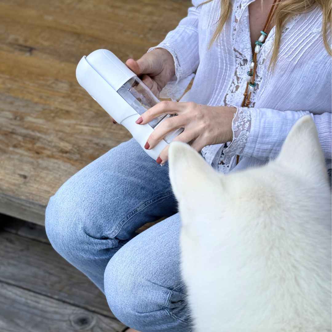 Travel Dog Water Bottle with Treat Holder – Leakproof & BPA-Free 350mL