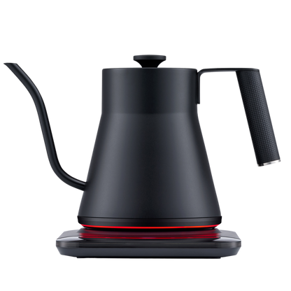 Baristan Gooseneck Kettle