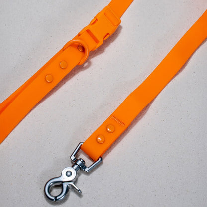 Collier pour chien en PVC - Imperméable, durable et résistant aux odeurs