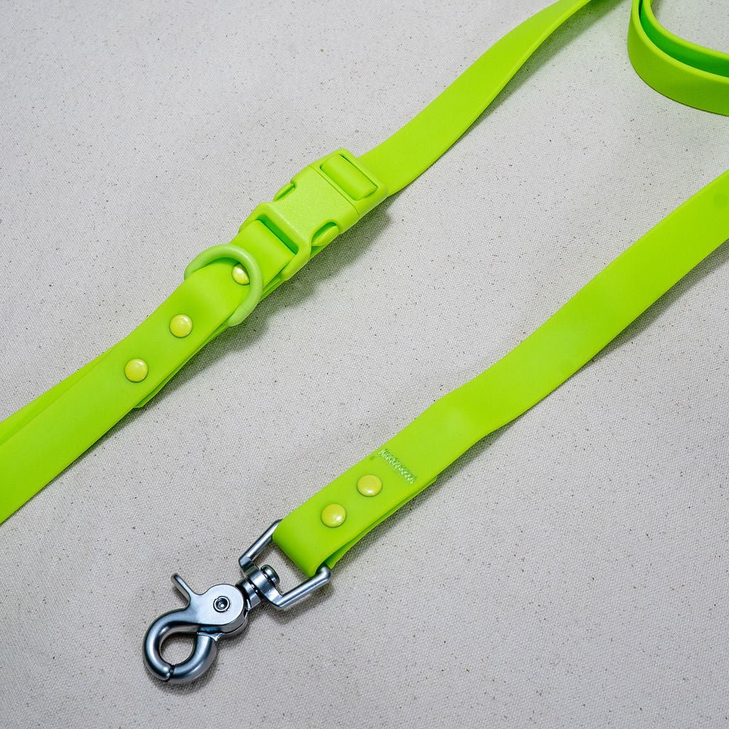 Collier pour chien en PVC - Imperméable, durable et résistant aux odeurs