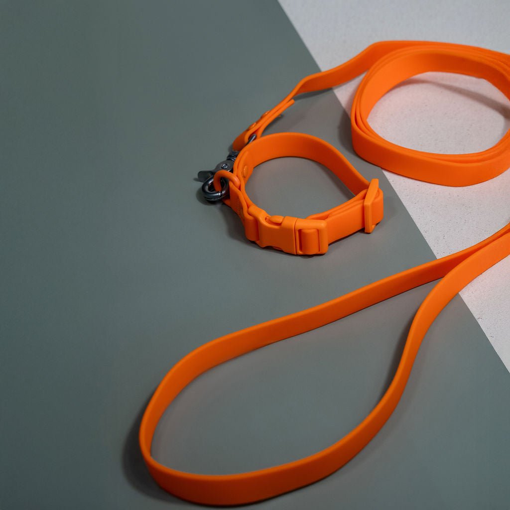 Laisse pour chien en PVC mains libres - Imperméable, durable et résistante aux odeurs