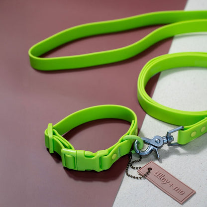 Laisse pour chien en PVC mains libres - Imperméable, durable et résistante aux odeurs