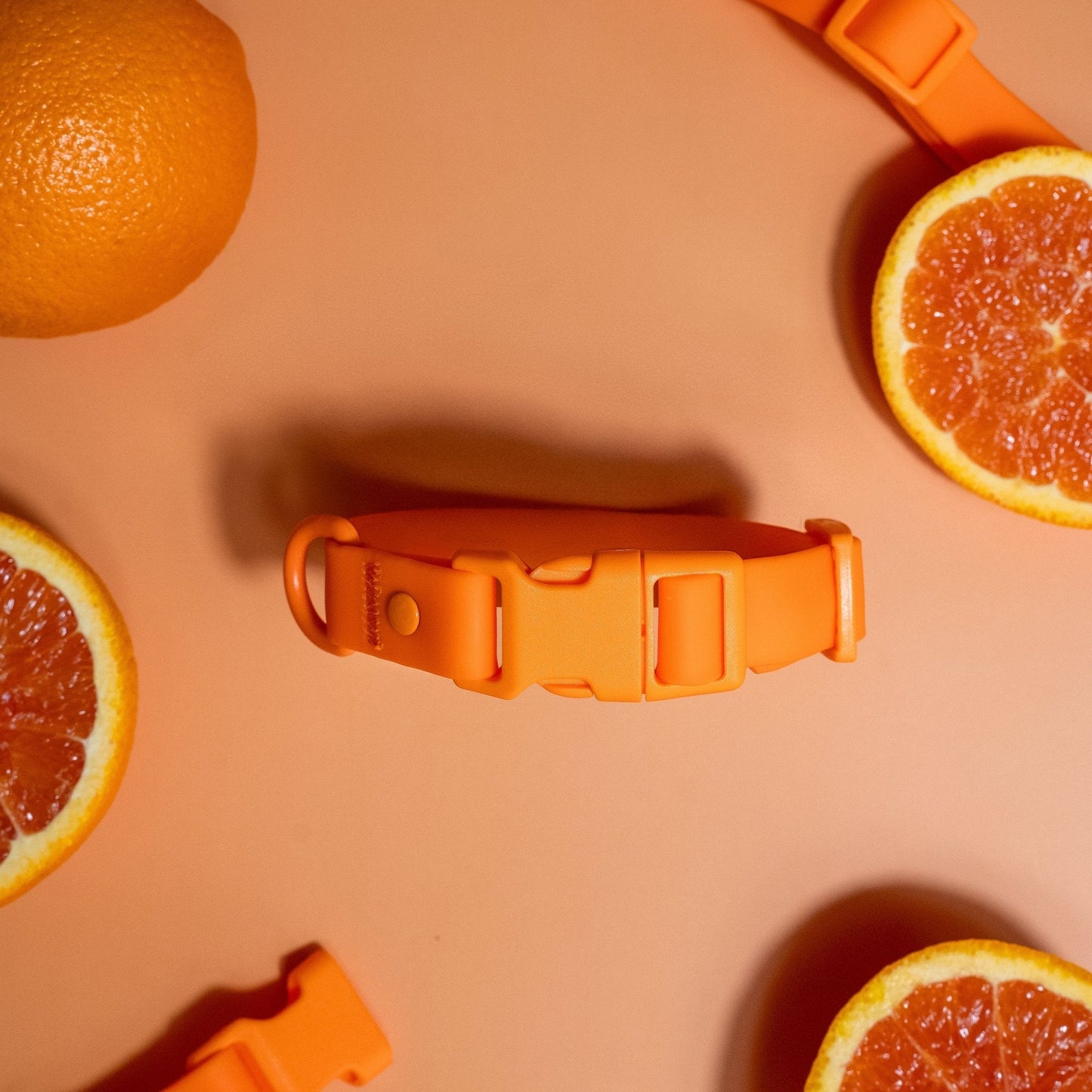 Laisse pour chien en PVC mains libres - Imperméable, durable et résistante aux odeurs