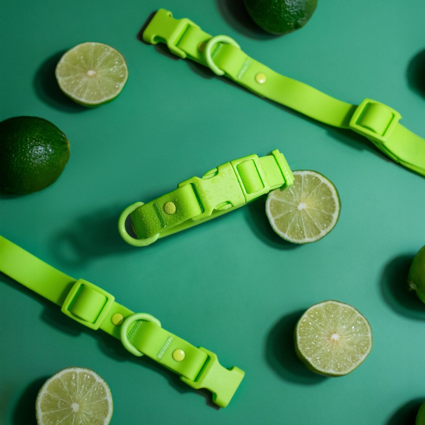 Laisse pour chien en PVC mains libres - Imperméable, durable et résistante aux odeurs