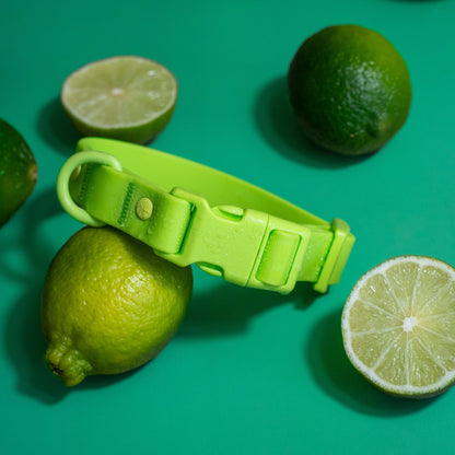 Collier pour chien en PVC - Imperméable, durable et résistant aux odeurs