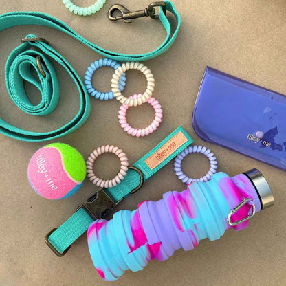 Malibu Sunset Sustainable Hemp Cotton Adjustable Dog Leash – Durable & Soft