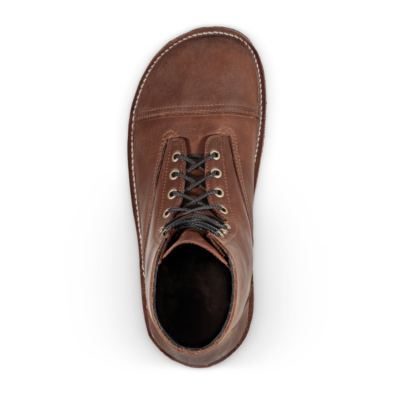 Bruin-Patriot - Crazy Horse - Lolomo!