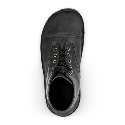 Bruin-Patriot - Dark Horse - Lolomo!