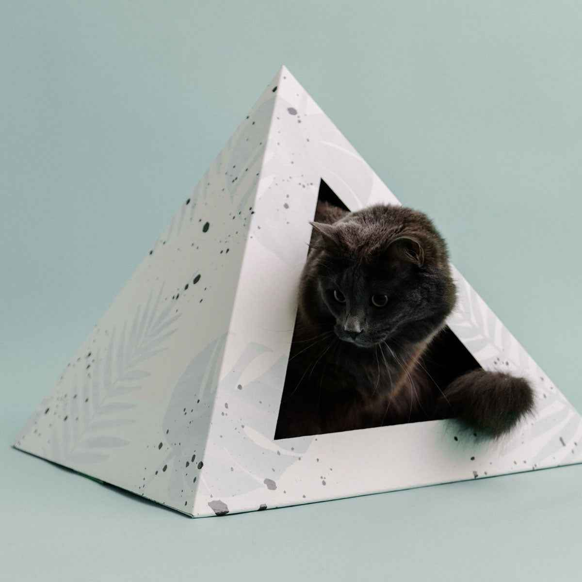 'Oasis' Cardboard Cat Pyramid
