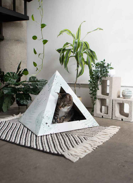 'Oasis' Cardboard Cat Pyramid