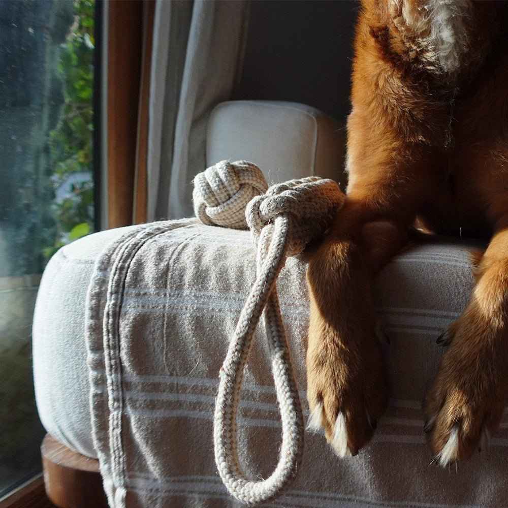 Indestructible Hemp Rope Tug Toy - Sustainable and Non-Toxic Pet Toy