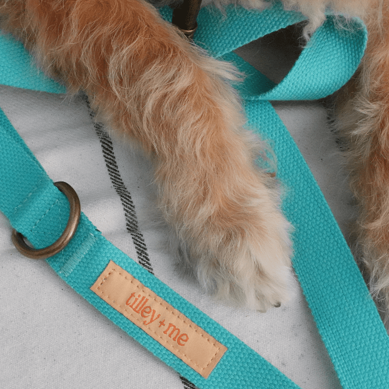 Malibu Sunset Sustainable Hemp Cotton Adjustable Dog Collar– Durable & Soft - Lolomo!