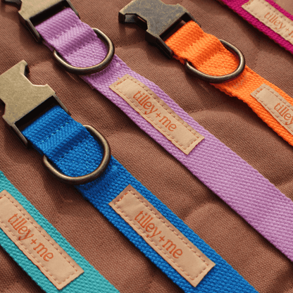 Malibu Sunset Sustainable Hemp Cotton Adjustable Dog Collar– Durable & Soft - Lolomo!