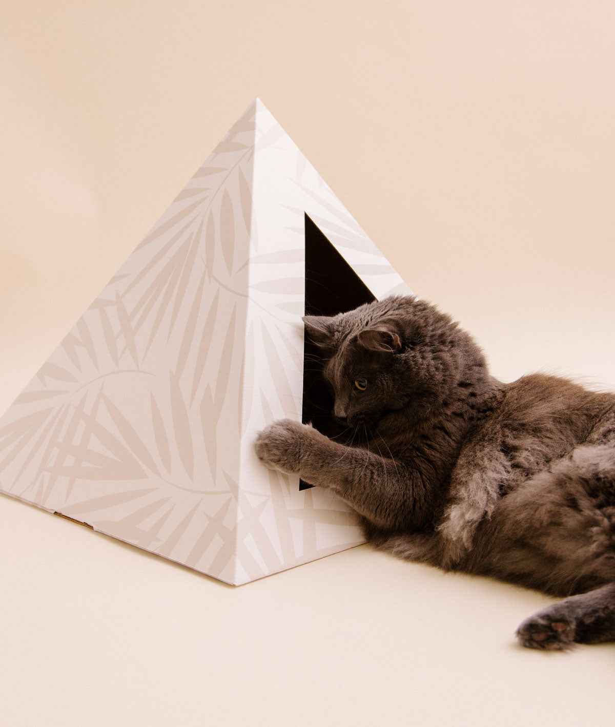 'Neutral Palm' Cardboard Cat Pyramid