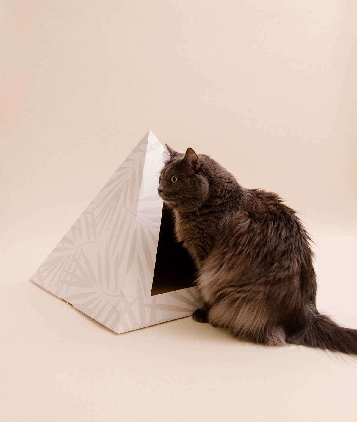 'Neutral Palm' Cardboard Cat Pyramid