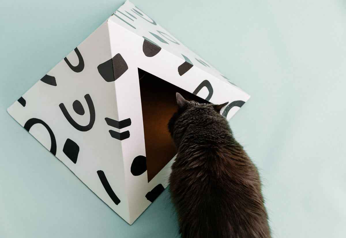 'Doodle' Cardboard Cat Pyramid