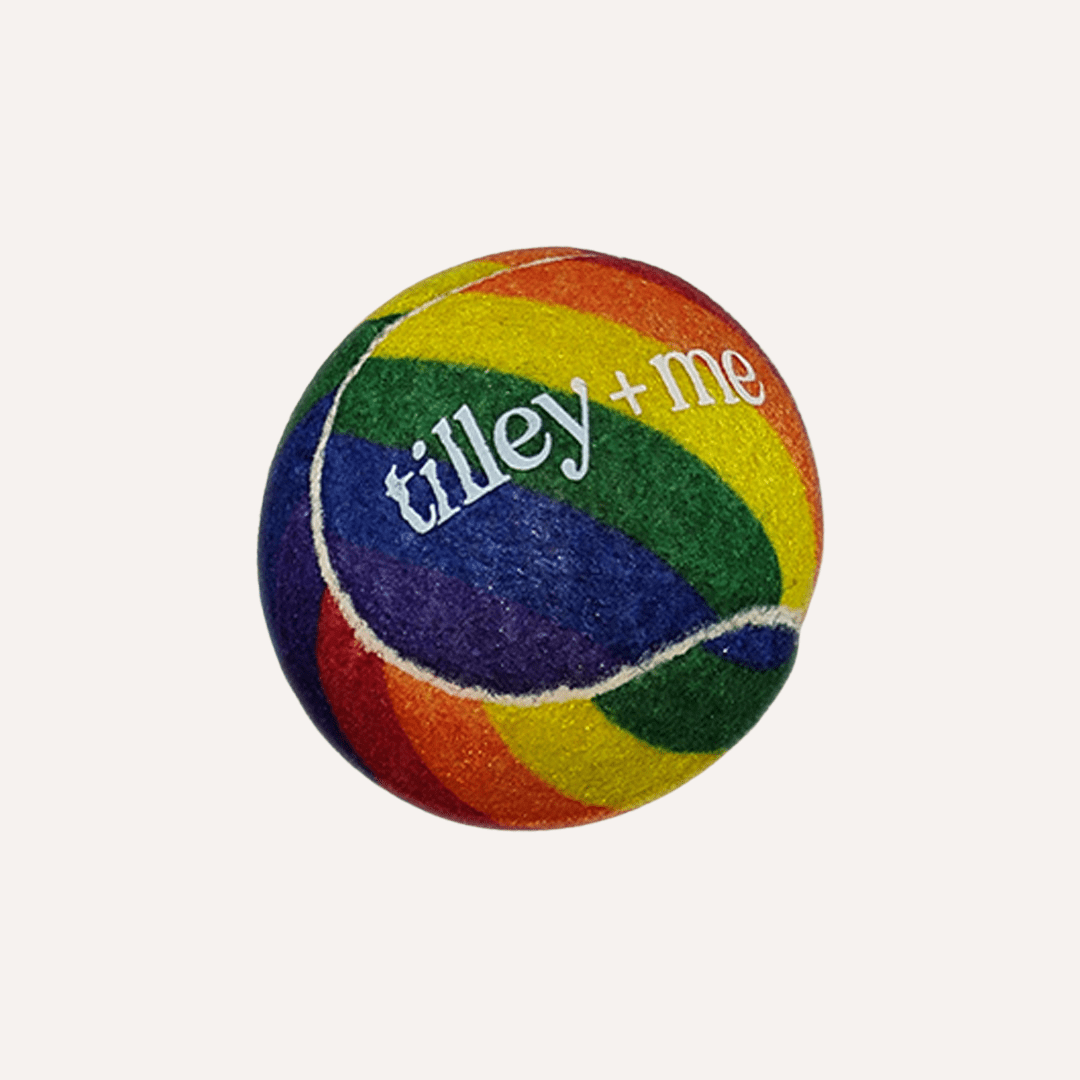 Tennis Ball for Dogs - Lolomo!