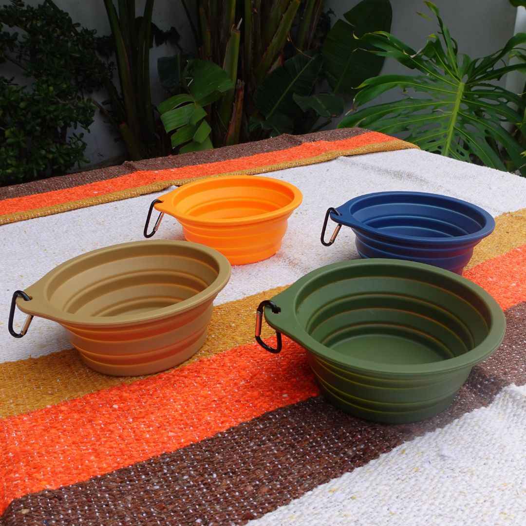 Collapsible Pet Bowl with Clip – Compact, Reusable and Easy to Clean